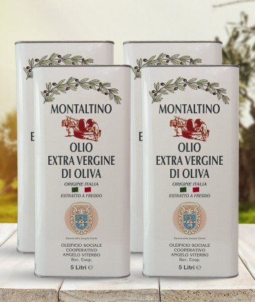 Extra Virgin Olive Oil EVO Coratina ORIGIN: ITALY - 5 Liters - Tins Packaging 4 Pcs